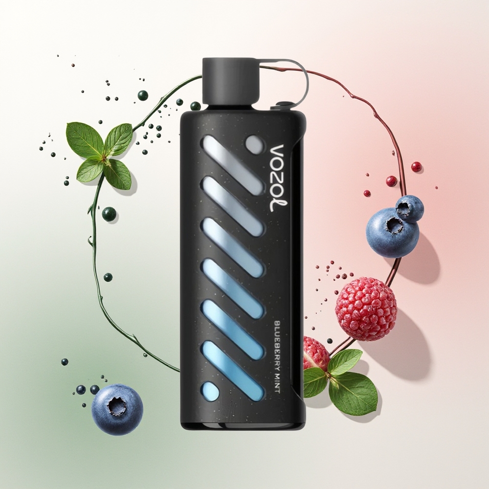 VOZOL Gear Shisha 25000 Blueberry Mint Dual Mesh