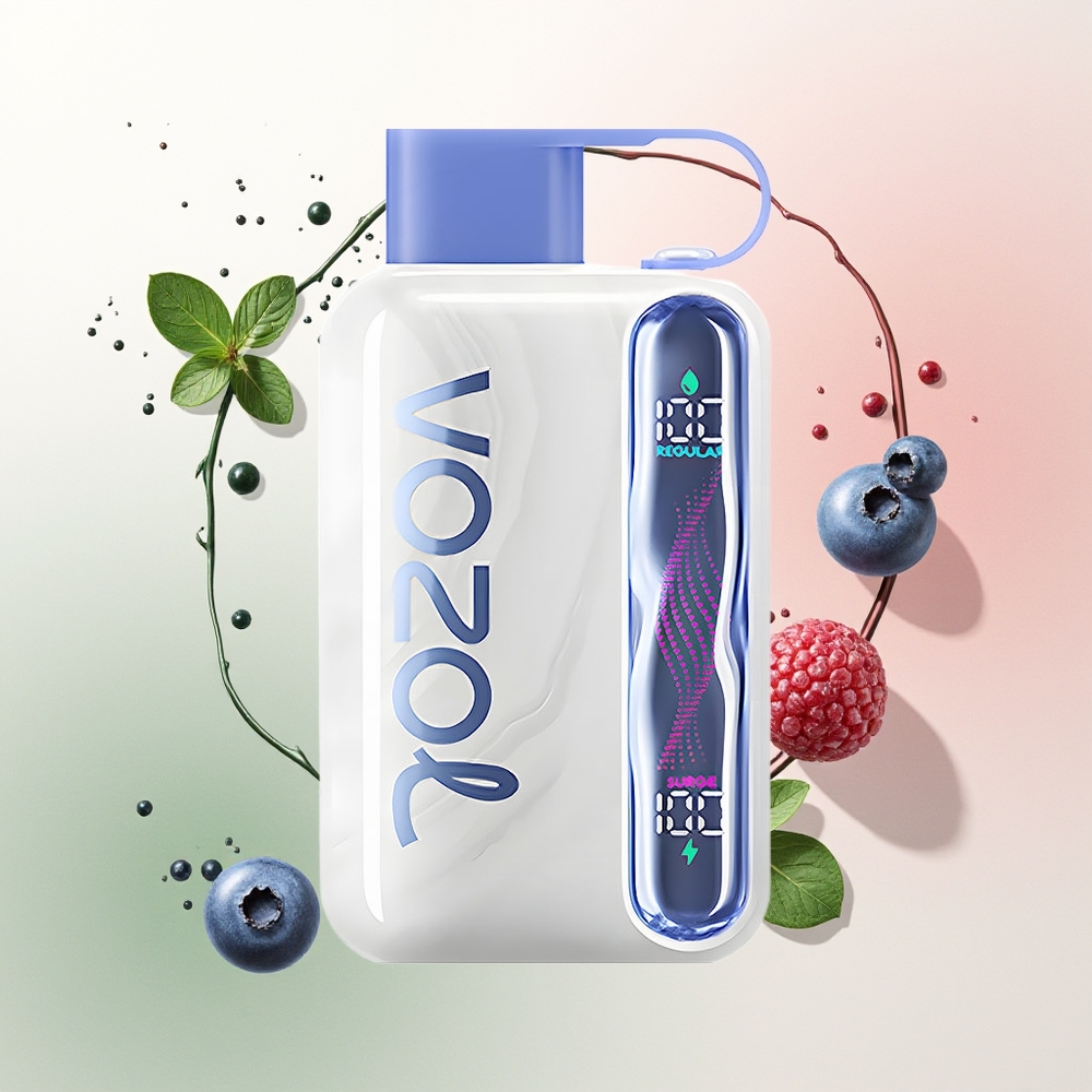 VOZOL STAR 40000 Bluberi Mint 1000mAh