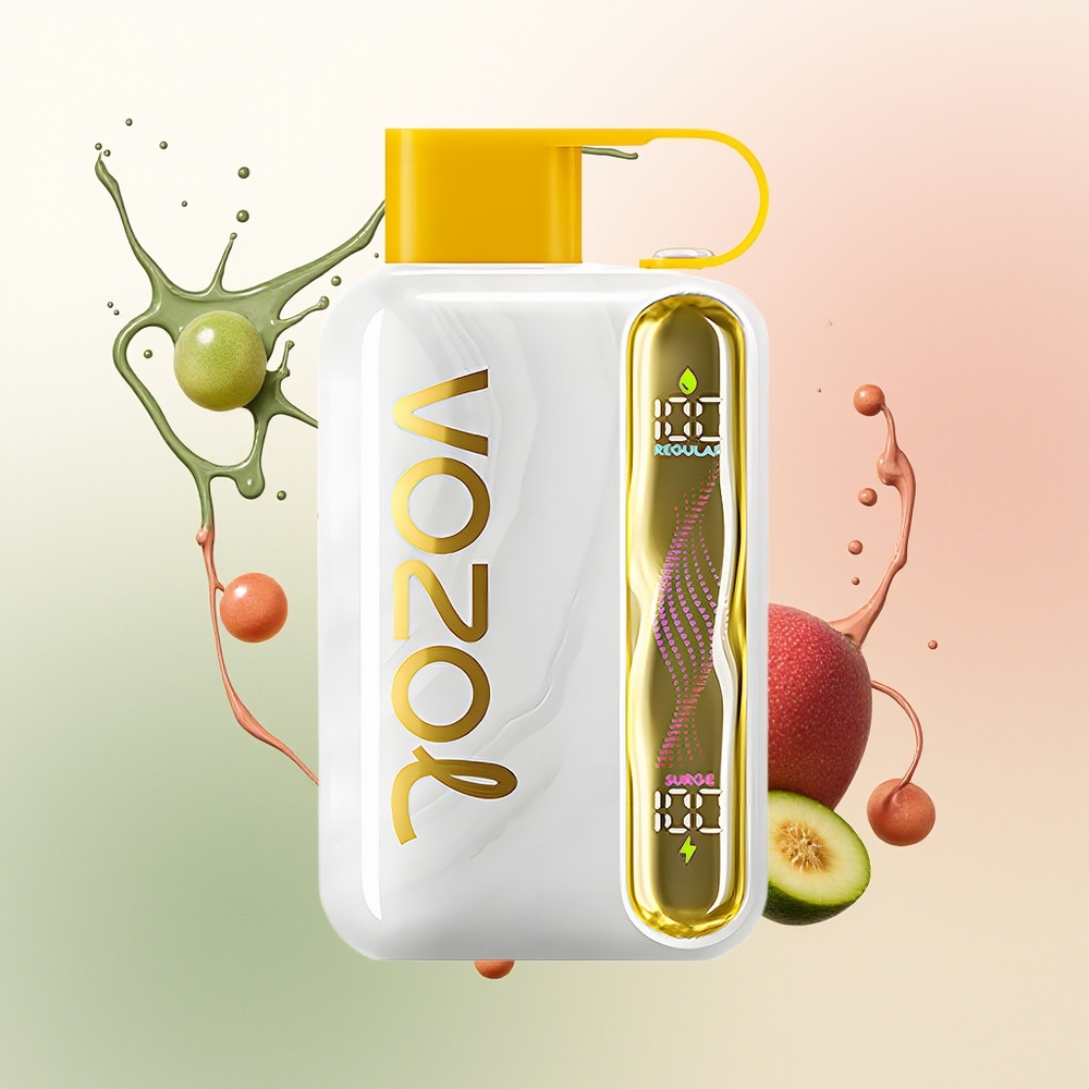 VOZOL STAR 40000 Mangga Es Tipe-C 1000mAh