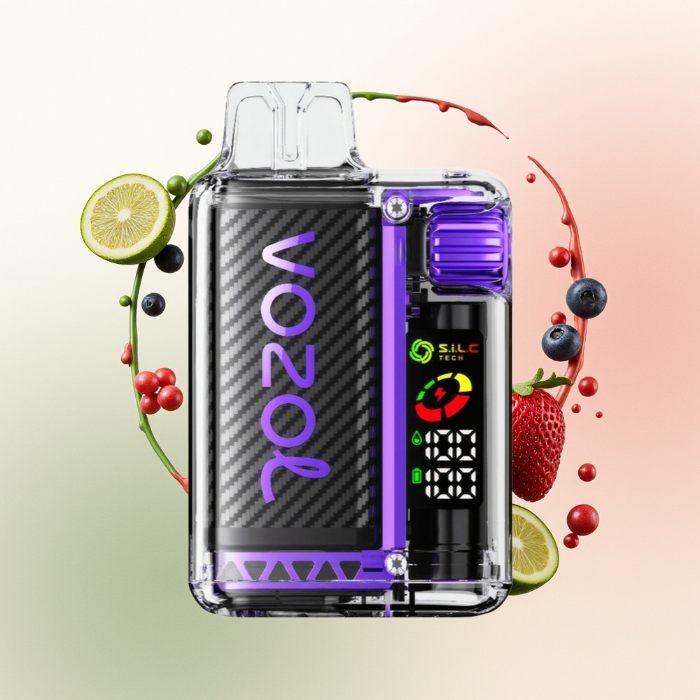 VOZOL Vista 20000 Isapan Baterai Isi Ulang